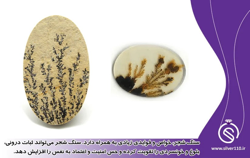 خواص سنگ شجر
