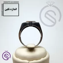 انگشتر نقره چشم ببر مردانه مدل داراب