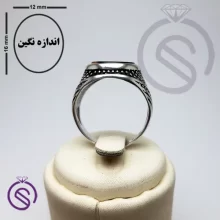 انگشتر نقره چشم ببر مردانه مدل پرواز