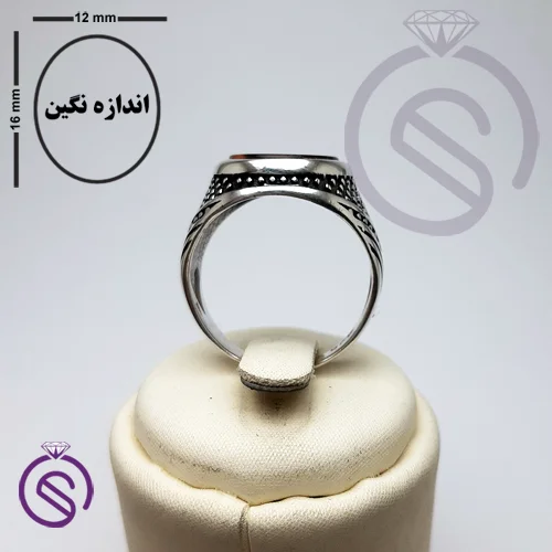 انگشتر نقره چشم ببر مردانه مدل پرواز