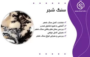 سنگ شجر????بررسی خواص، تشخیص اصالت شجر اصل????نحوه شارژ و انواع آن